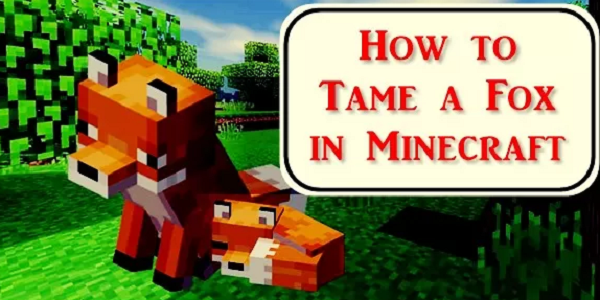 How to tame a Fox in Minecraft